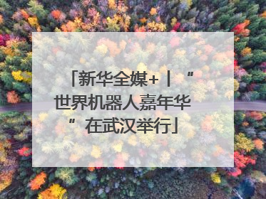 新华全媒+丨“世界机器人嘉年华”在武汉举行