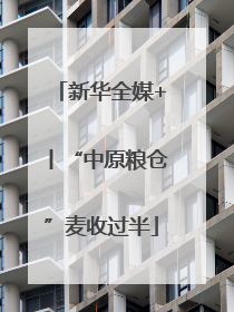 新华全媒+丨“中原粮仓”麦收过半
