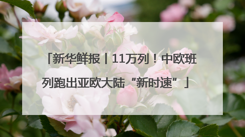 新华鲜报丨11万列！中欧班列跑出亚欧大陆“新时速”