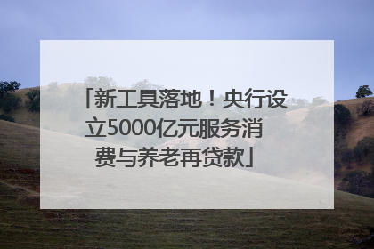 新工具落地！央行设立5000亿元服务消费与养老再贷款