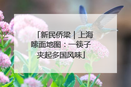 新民侨梁｜上海嗦面地图：一筷子夹起多国风味