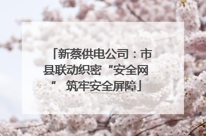 新蔡供电公司：市县联动织密“安全网” 筑牢安全屏障