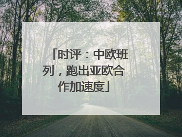 时评：中欧班列，跑出亚欧合作加速度