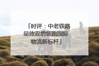 时评：中老铁路量效双增领跑国际物流新标杆