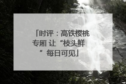 时评：高铁樱桃专厢 让“枝头鲜”每日可见