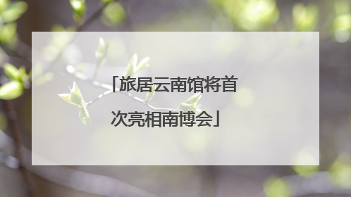 旅居云南馆将首次亮相南博会