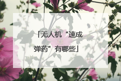 无人机“速成弹药”有哪些