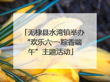 无棣县水湾镇举办“欢乐六一·粽香端午”主题活动