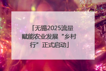 无锡2025流量赋能农业发展“乡村行”正式启动