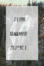 日照：盐碱地里生产忙
