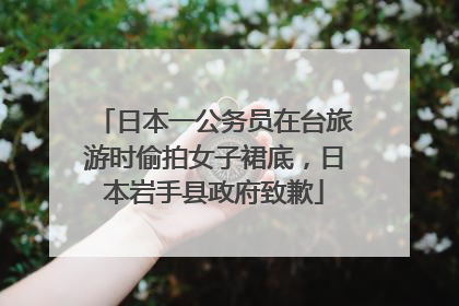日本一公务员在台旅游时偷拍女子裙底，日本岩手县政府致歉