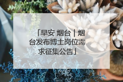 早安 烟台｜烟台发布博士岗位需求征集公告