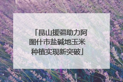昆山援疆助力阿图什市盐碱地玉米种植实现新突破