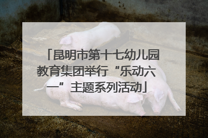 昆明市第十七幼儿园教育集团举行“乐动六一”主题系列活动
