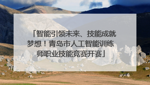 智能引领未来、技能成就梦想！青岛市人工智能训练师职业技能竞赛开赛