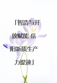 智造与开放赋能 岳阳新质生产力提速