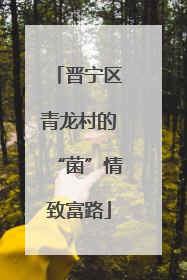 晋宁区青龙村的“菌”情致富路