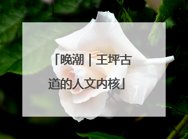 晚潮｜王坪古道的人文内核