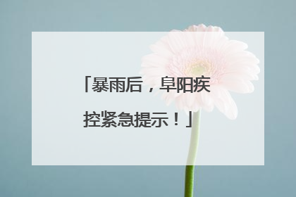 暴雨后，阜阳疾控紧急提示！