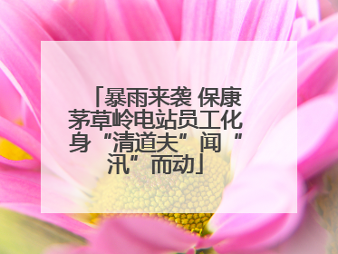暴雨来袭 保康茅草岭电站员工化身“清道夫”闻“汛”而动