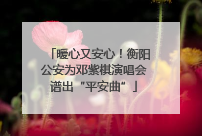 暖心又安心！衡阳公安为邓紫棋演唱会谱出“平安曲”