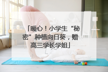 暖心！小学生“秘密”种植向日葵，赠高三学长学姐