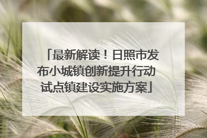 最新解读！日照市发布小城镇创新提升行动试点镇建设实施方案