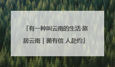 有一种叫云南的生活·旅居云南｜菌有信 人赴约