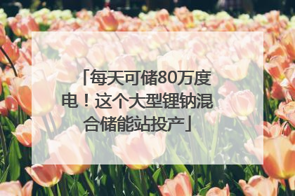 每天可储80万度电！这个大型锂钠混合储能站投产