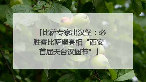 比萨专家出汉堡：必胜客比萨堡亮相“西安首届天台汉堡节”