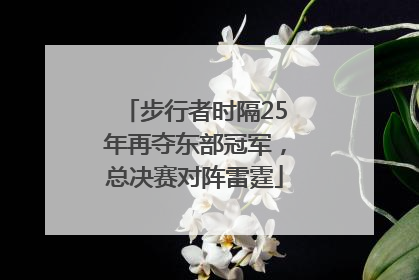 步行者时隔25年再夺东部冠军，总决赛对阵雷霆