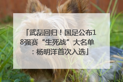 武磊回归！国足公布18强赛“生死战”大名单：杨明洋首次入选