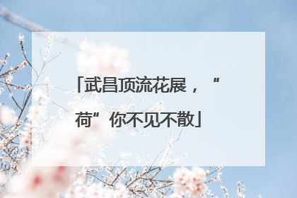 武昌顶流花展，“荷”你不见不散