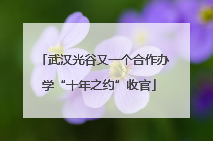 武汉光谷又一个合作办学“十年之约”收官