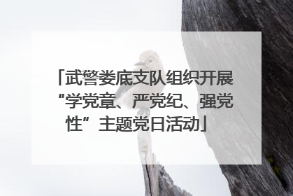 武警娄底支队组织开展“学党章、严党纪、强党性”主题党日活动