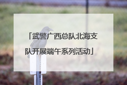 武警广西总队北海支队开展端午系列活动