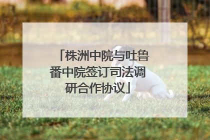 株洲中院与吐鲁番中院签订司法调研合作协议