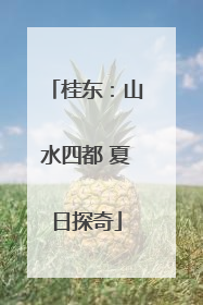 桂东：山水四都 夏日探奇