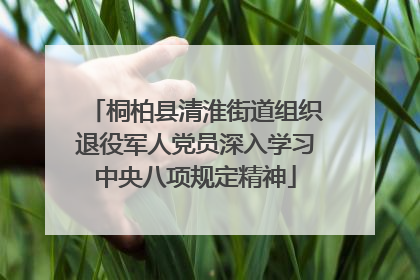桐柏县清淮街道组织退役军人党员深入学习中央八项规定精神