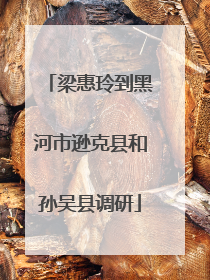 梁惠玲到黑河市逊克县和孙吴县调研