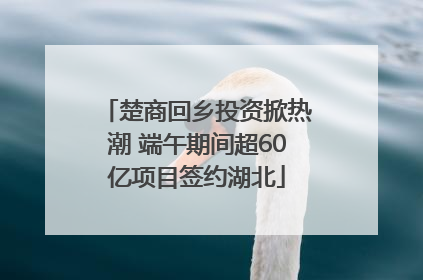 楚商回乡投资掀热潮 端午期间超60亿项目签约湖北