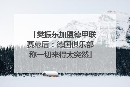 樊振东加盟德甲联赛幕后：德国俱乐部称一切来得太突然