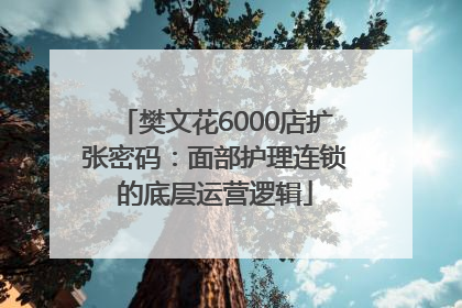 樊文花6000店扩张密码：面部护理连锁的底层运营逻辑