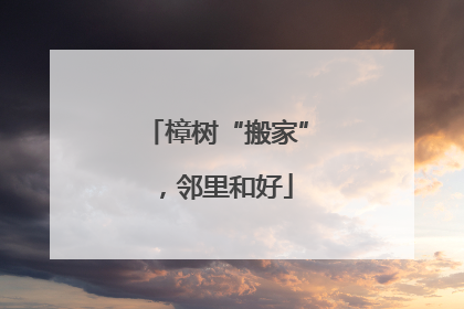 樟树“搬家”，邻里和好