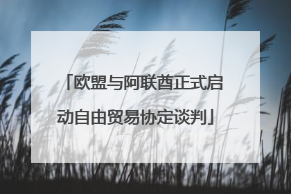 欧盟与阿联酋正式启动自由贸易协定谈判