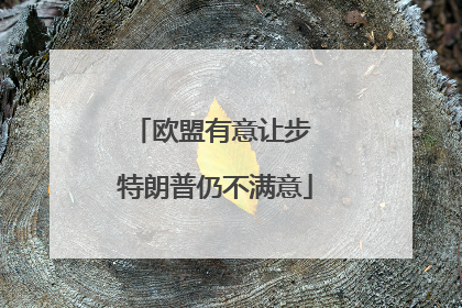 欧盟有意让步 特朗普仍不满意