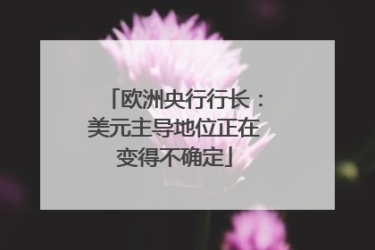 欧洲央行行长：美元主导地位正在变得不确定