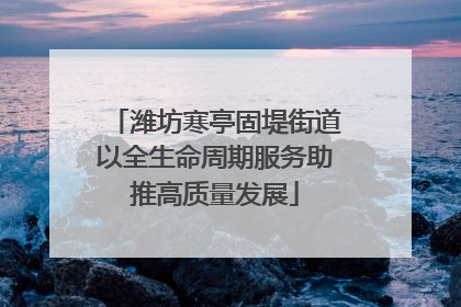 潍坊寒亭固堤街道以全生命周期服务助推高质量发展