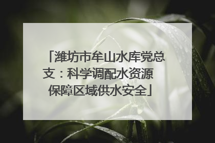 潍坊市牟山水库党总支：科学调配水资源 保障区域供水安全
