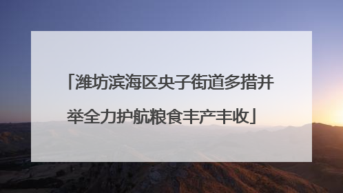 潍坊滨海区央子街道多措并举全力护航粮食丰产丰收